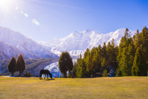 nathia gali tour from lahore