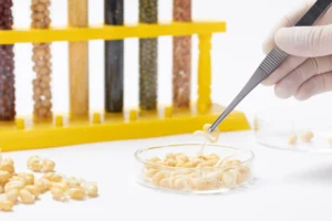 dna food testing