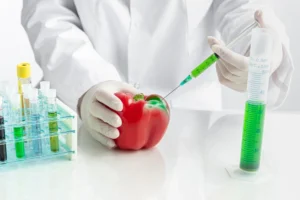 dna food testing