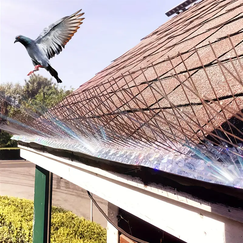 Bird Spikes Supplier: A Comprehensive Guide to Choosing the Right Solution