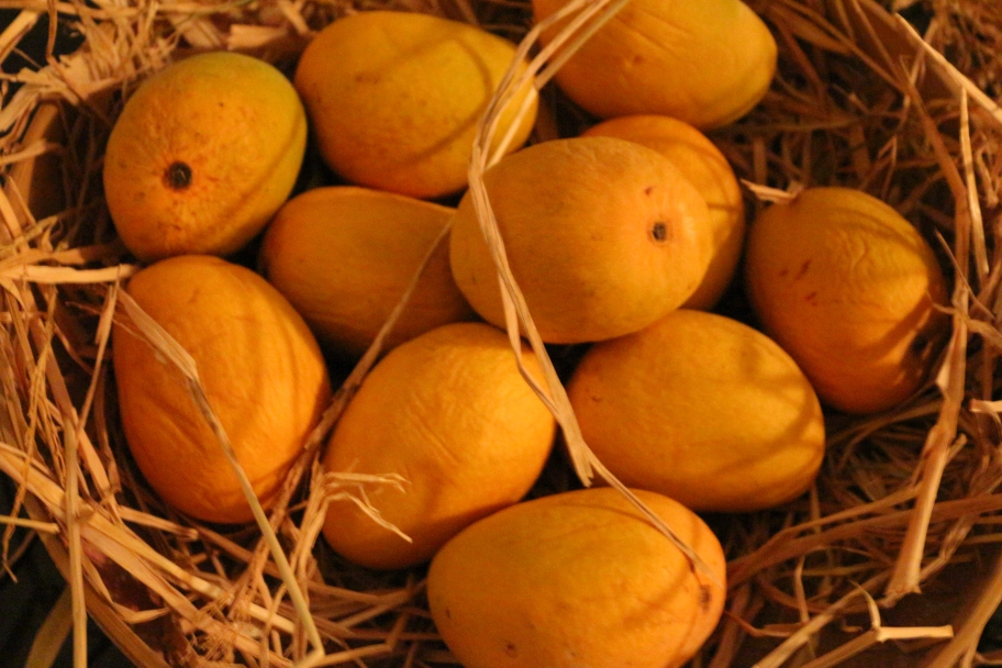 Mango Companies in Pakistan