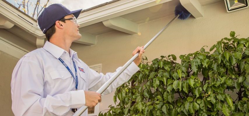 Pest Control in Lahore and Guide Pest Control Services