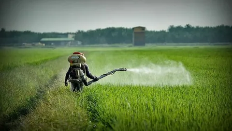 Pesticide control services