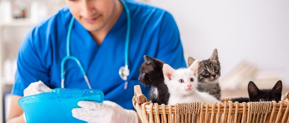 Spain Animal Healthcare Market