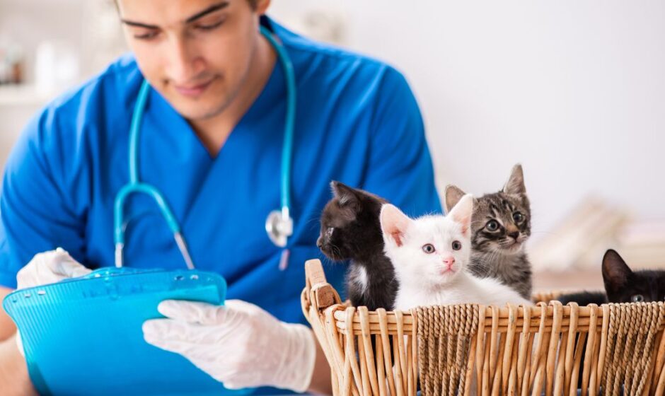 Spain Animal Healthcare Market