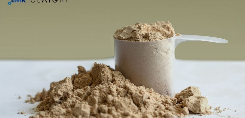 Whey Protein Market