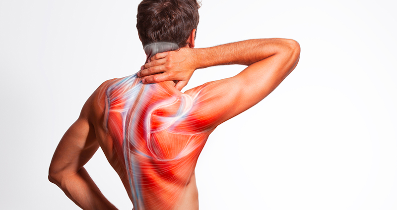 How Carisoprodol 350 mg Eases Muscle Pain Fast