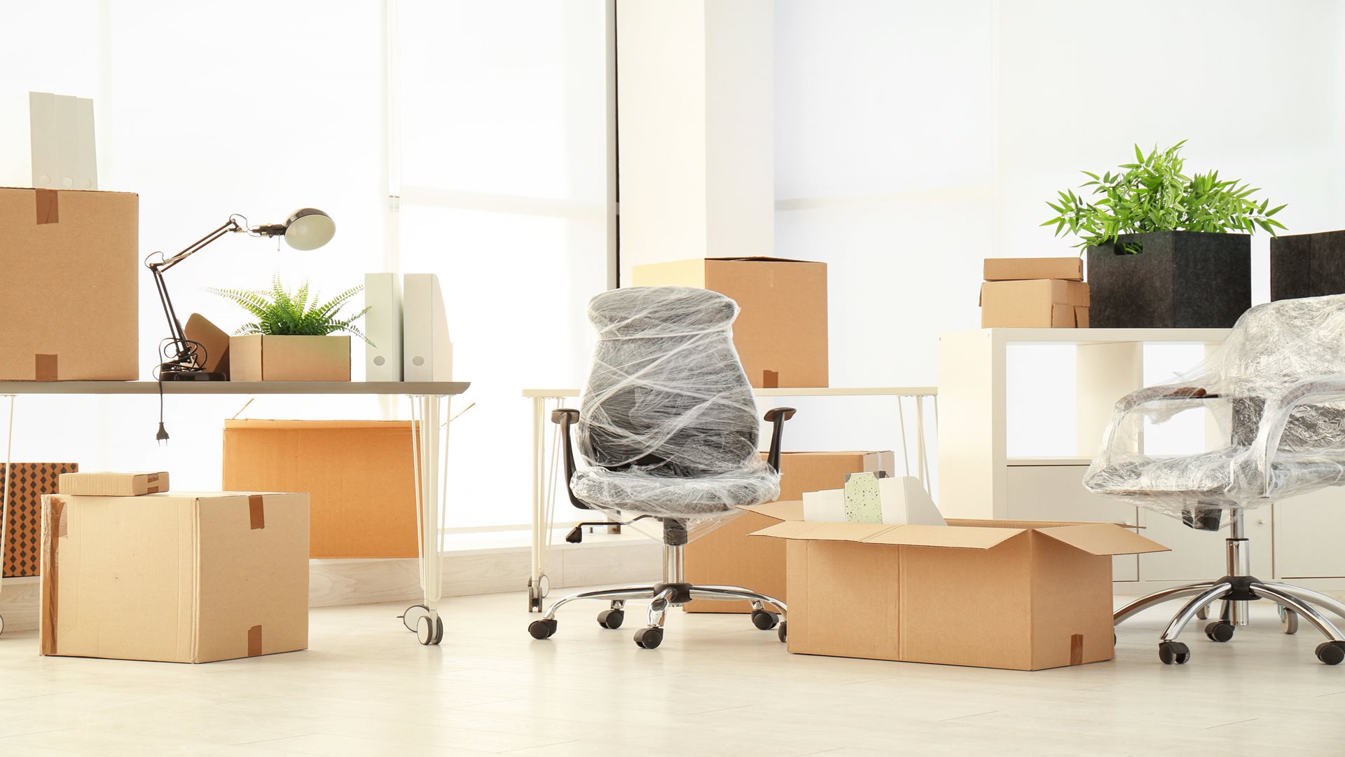 How to Choose the Perfect Packers and Movers in Hyderabad for a Seamless Move