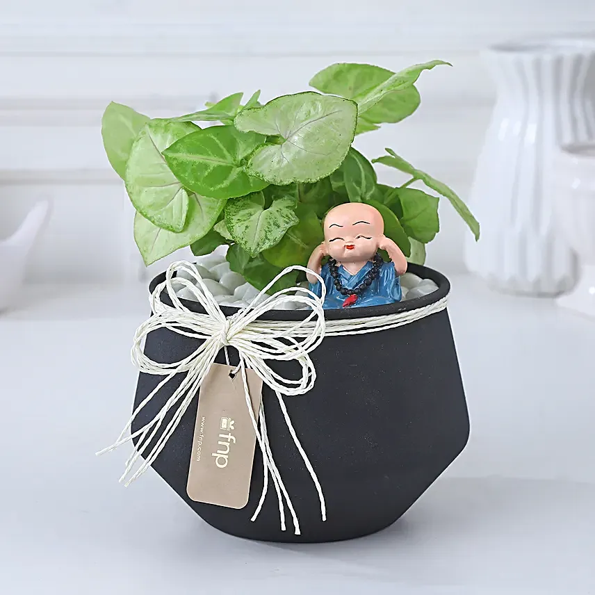 Flowers: The Best Natural Gift