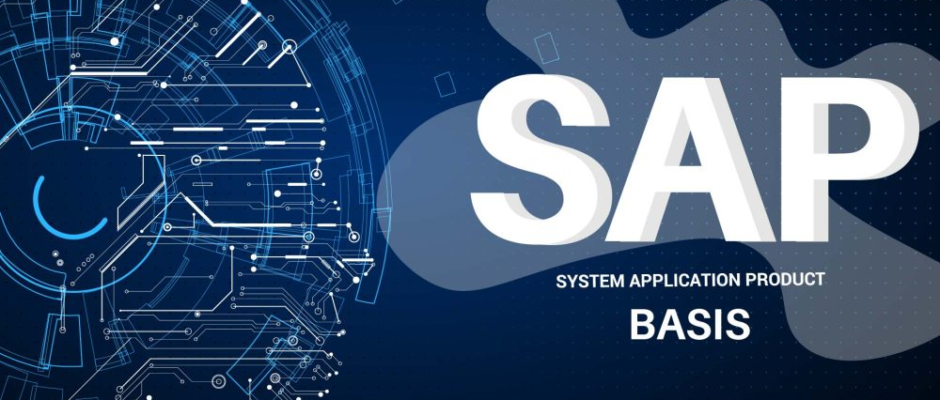 Becoming A Skilled SAP BASIS Consultant