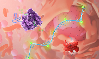 New Attempts at mRNA Vaccines