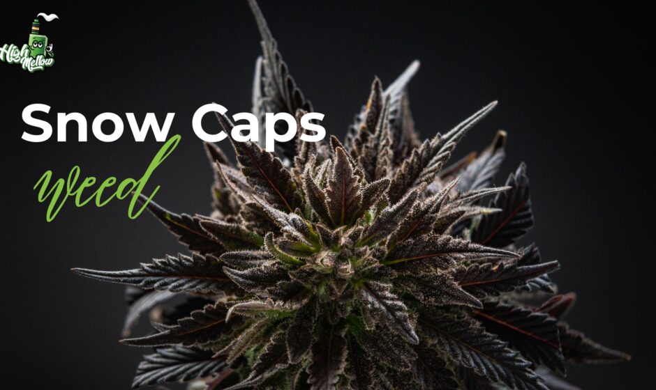 snow caps weed