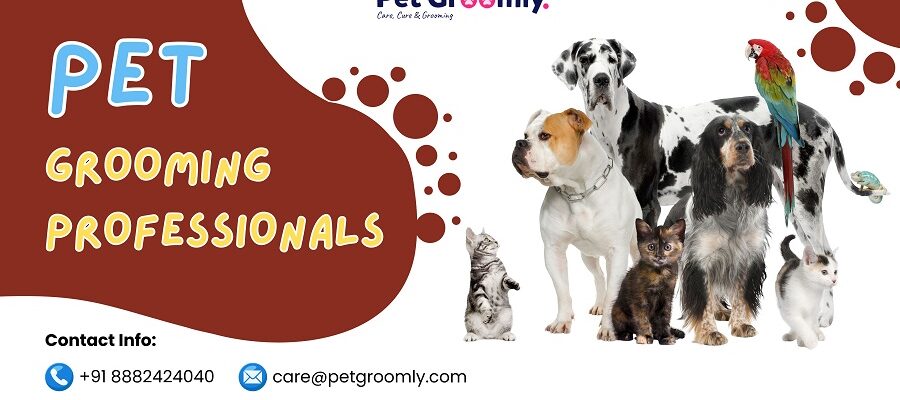 Pet Grooming Professionals