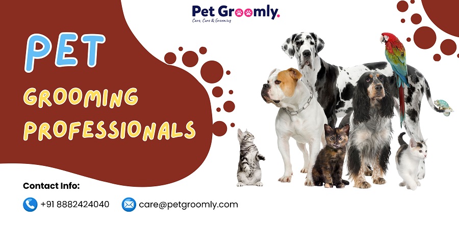 Pet Grooming Professionals