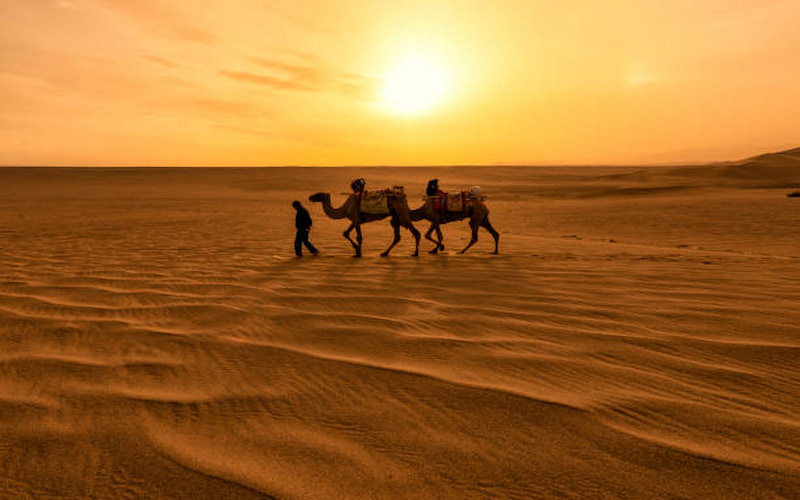 Top Reasons to Book an Evening Desert Safari in Dubai