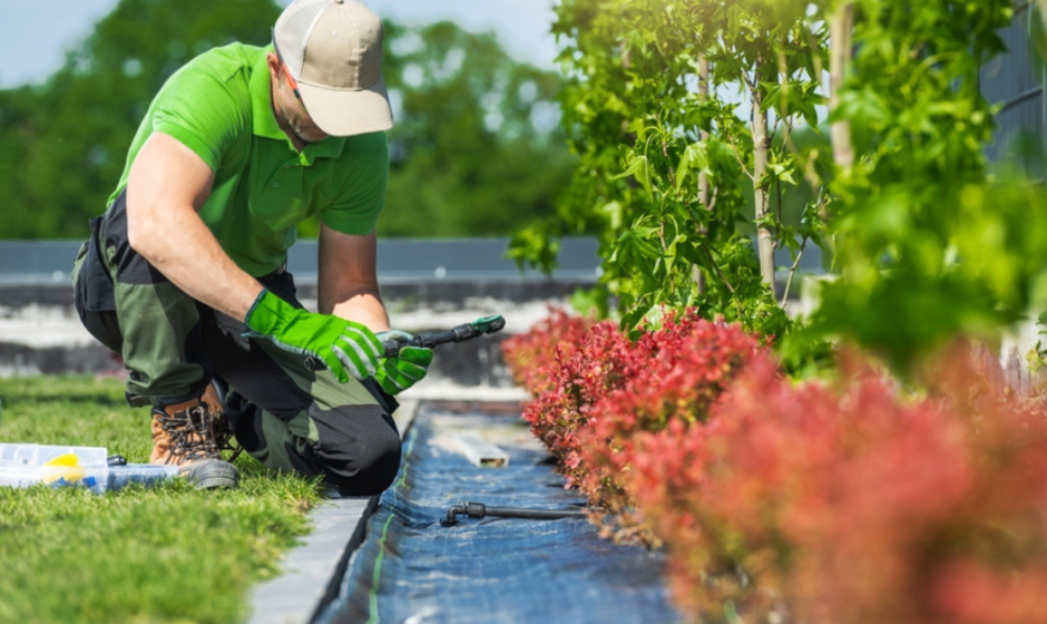 A man in a green shirt and hat is engaged in gardening, cultivating plants in a vibrant outdoor setting.