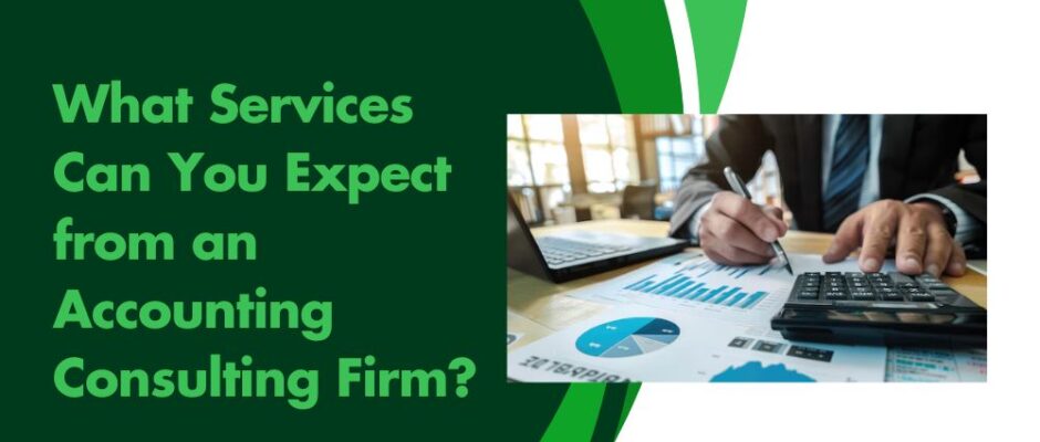 What Services Can You Expect from an Accounting Consulting Firm