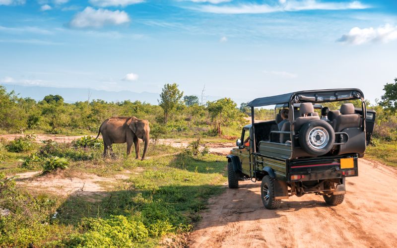 Camping in Sri Lanka’s National Parks: A Night with Nature