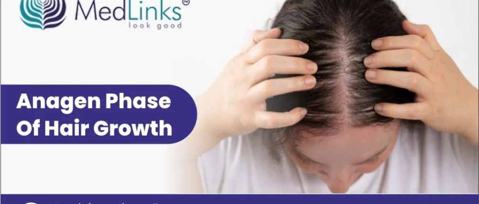 Anagen Phase of Hair Growth