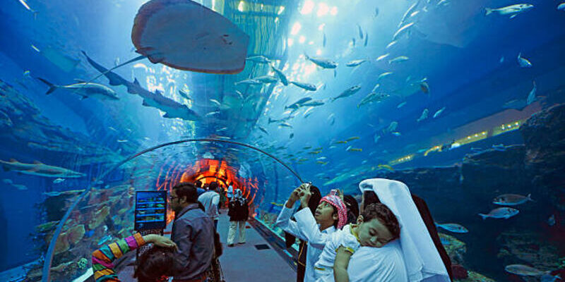 10 Fascinating Facts About Dubai Mall Aquarium You Didn’t Know