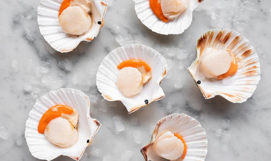 "Scallops: A Gourmet Treasure from the Ocean Depths"