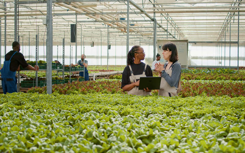 Best hydroponics farms