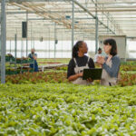 Disability Care in New South Wales, Australia: A Comprehensive Guide