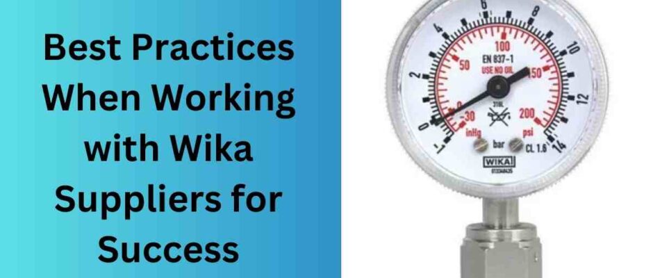 Best Practices When Working with Wika Suppliers for Success