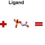 Understanding Circular Dichroism Spectroscopy in Biochemistry