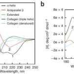 Exploring the Innovation of Least Invasive Spine Surgery: A Focus on Awake Spinal Fusion