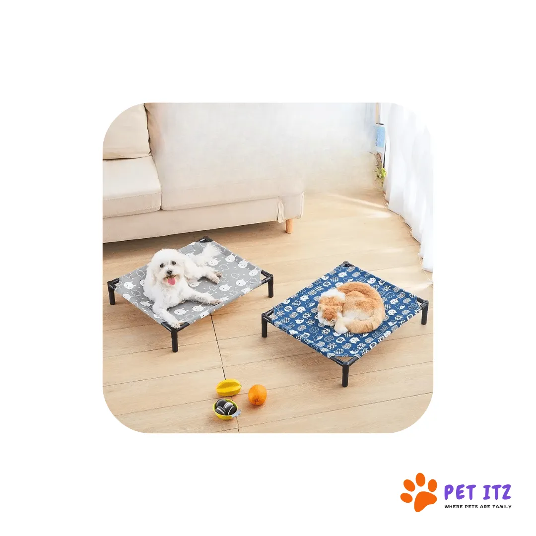 Discover the Best Pet Comfort: Dog Beds and Elevated Pet Beds