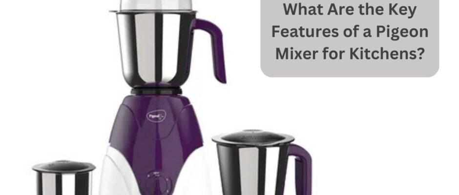 What Are the Key Features of a Pigeon Mixer for Kitchens