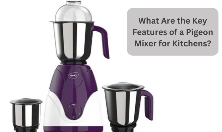 What Are the Key Features of a Pigeon Mixer for Kitchens