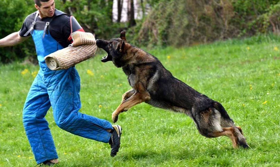 employee dog bite prevention