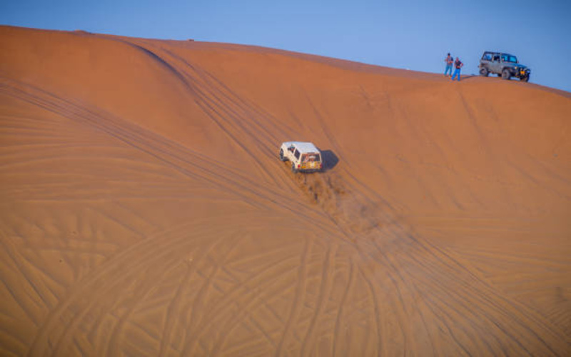 Essential Tips for a Safe Desert Safari Experience