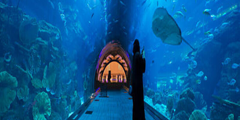 Dubai Mall Aquarium