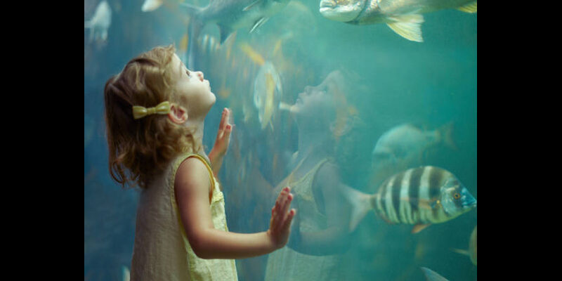 Kid-Friendly Activities at Dubai Aquarium