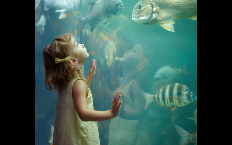 Kid-Friendly Activities at Dubai Aquarium