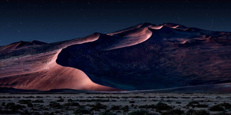 Evening Desert Safari Experience