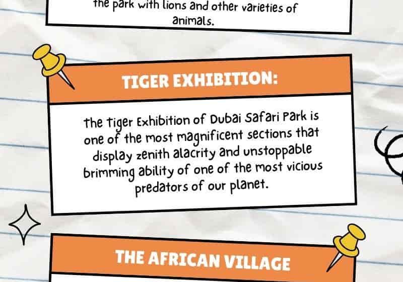 Dubai Safari Park