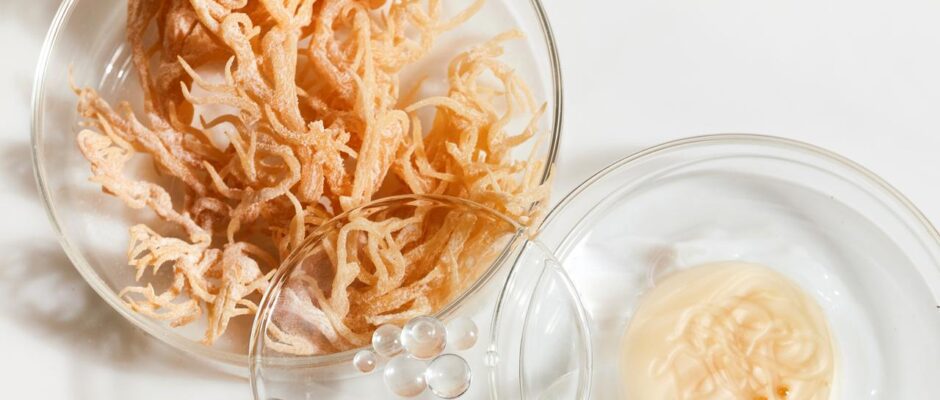 Irish sea moss