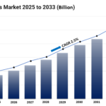 The Global Buy Now Pay Later Market size Gartner 2024