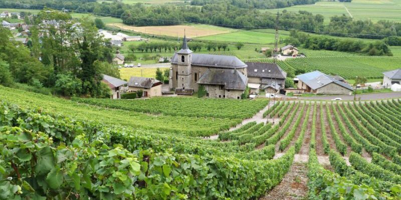 French Wine Regions