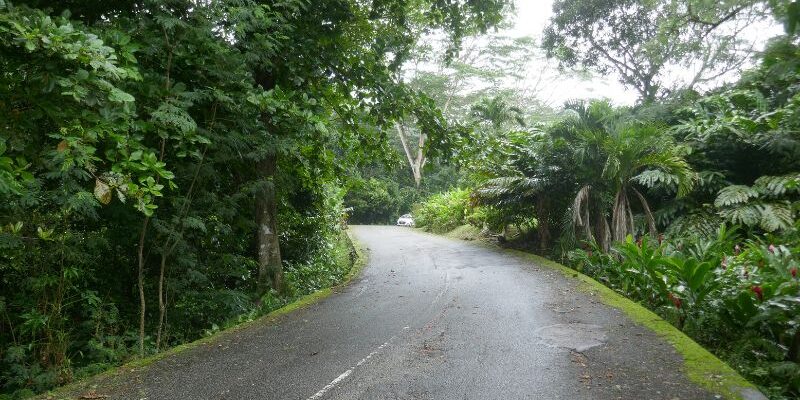 Activities to Experience in Seychelles