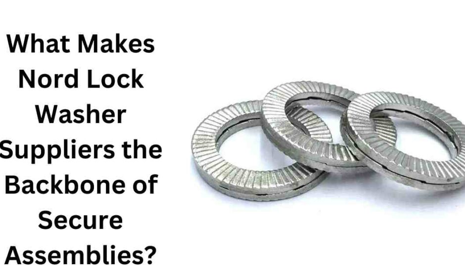 What Makes Nord Lock Washer Suppliers the Backbone of Secure Assemblies?