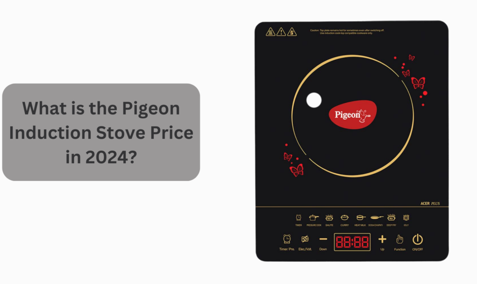 What is the Pigeon Induction Stove Price in 2024