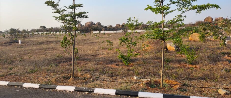 Residential Plots in Guntur