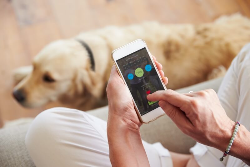 pet wearable market