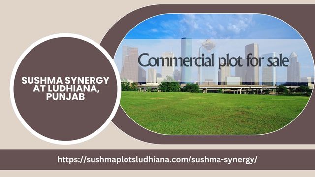 Sushma Synergy, Ludhiana – A Smart Investment for Businesses