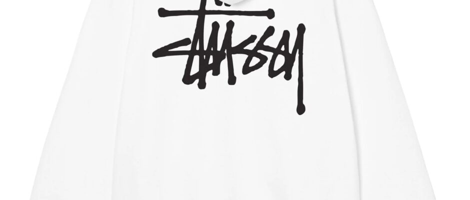 BASIC-STUSSY-HOODIE-1